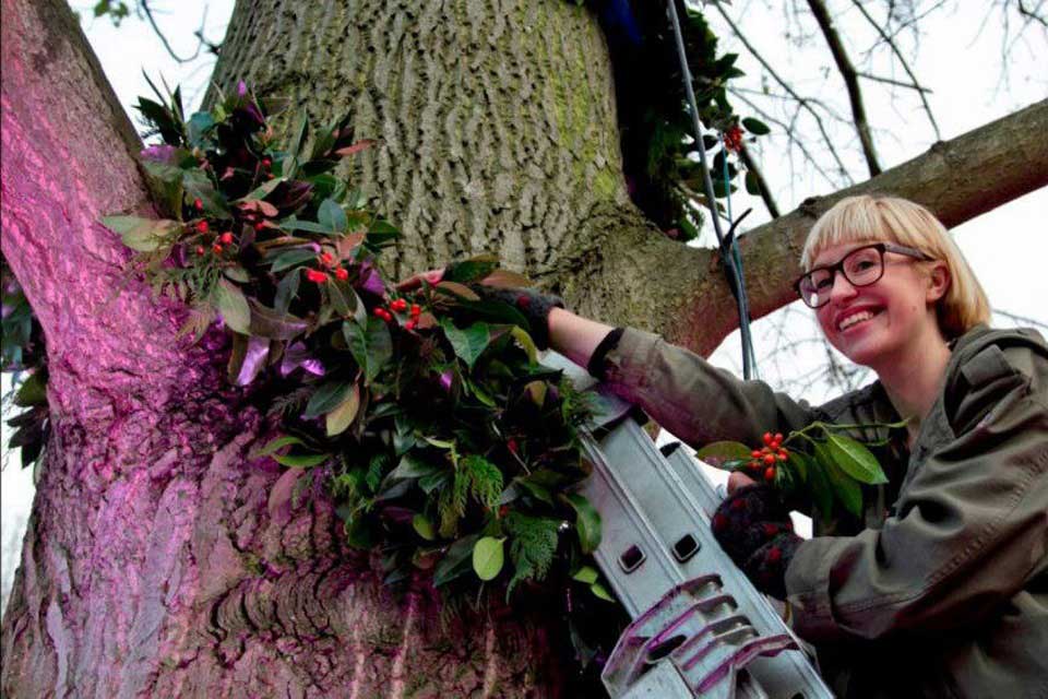 Christmas at the Botanics photo