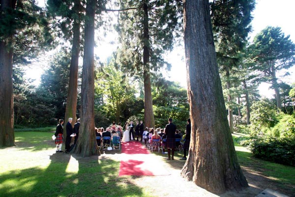 a wedding party gather beneath redwood trees