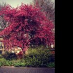 bq-April-14-feature