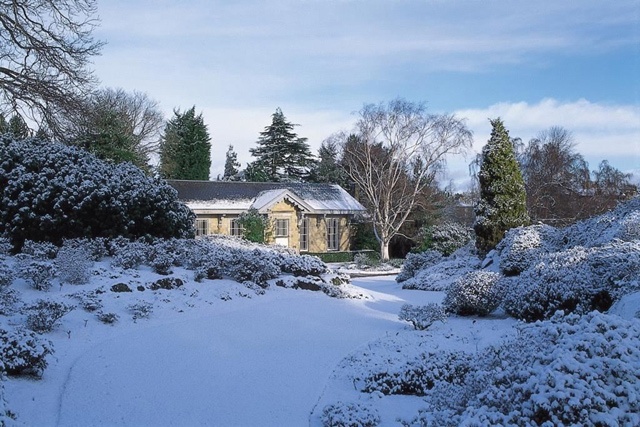 a snow covered path winds through a garden with a cottage in the distance
