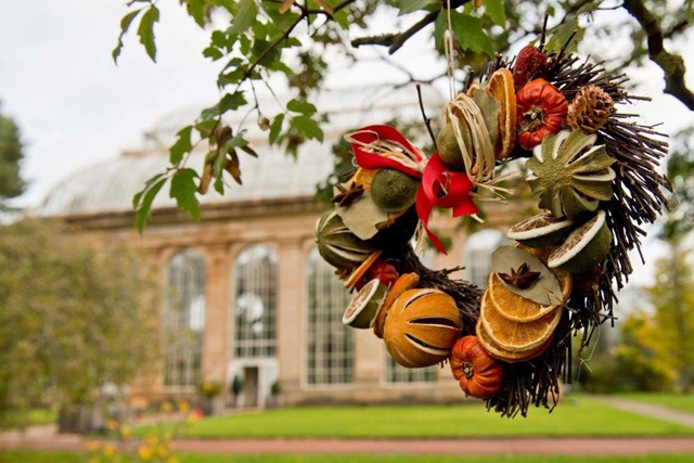 a Christmas wreath hangs on a tree in a garden