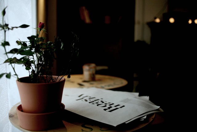 a plant pot and plant sits on a round wooden table in a window