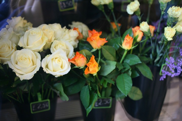 black buckets of flowers