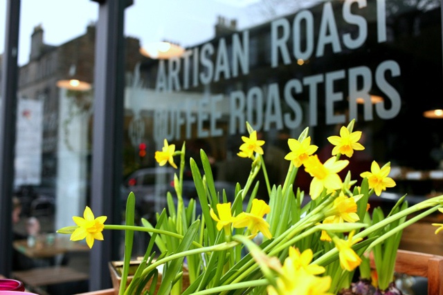 an exterior coffee shop Artisan Roast window lined with flowers boxes of yellow daffodils
