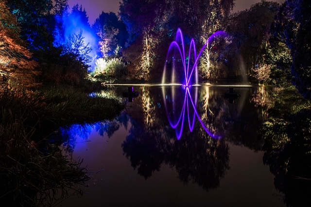 an illuminated fountain shoots water into the air in a pond surrounded by trees at night
