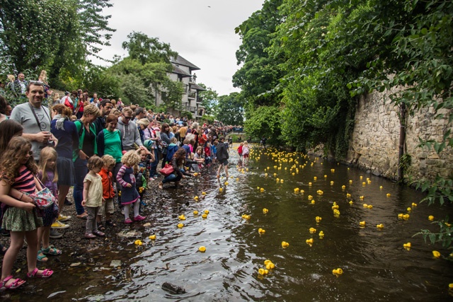crowds of people line a river bank with trees on either side