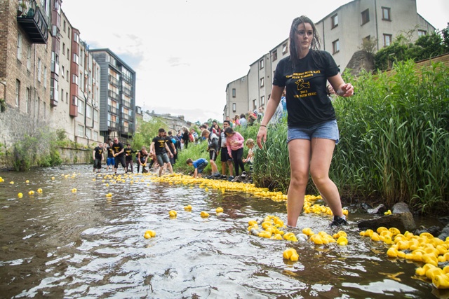 a young woman in denim shorts and a black t-shirt stands in a river surrounded by yellow plastic ducks