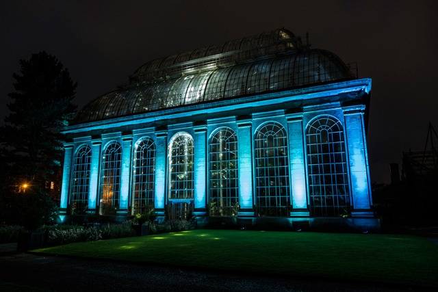 a victorian glass house illuminated at night