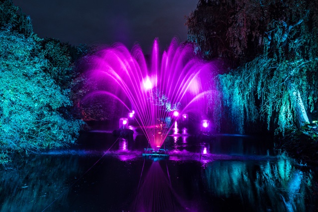 an illuminated water fountain in the middle of a pond at night