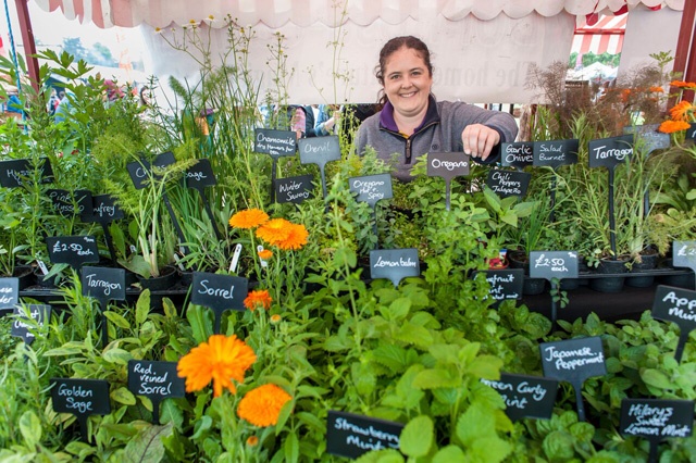 plant and herbs stall at a food festival