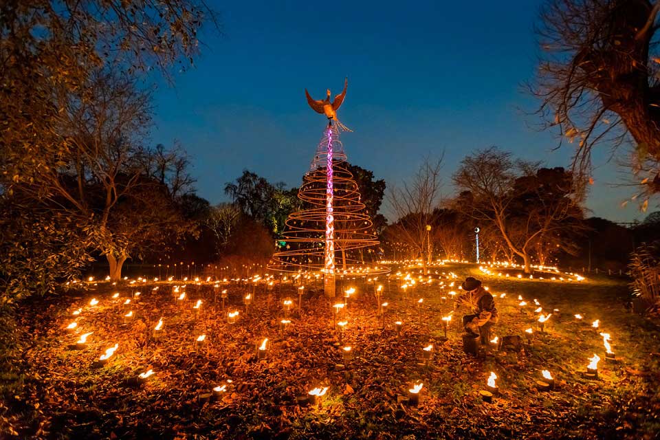 Christmas At The Botanics 2017 photo