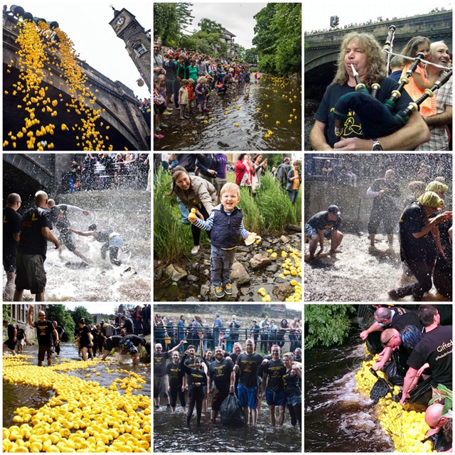 a collage of nine photographs of a charity yellow rubber duck race in a river