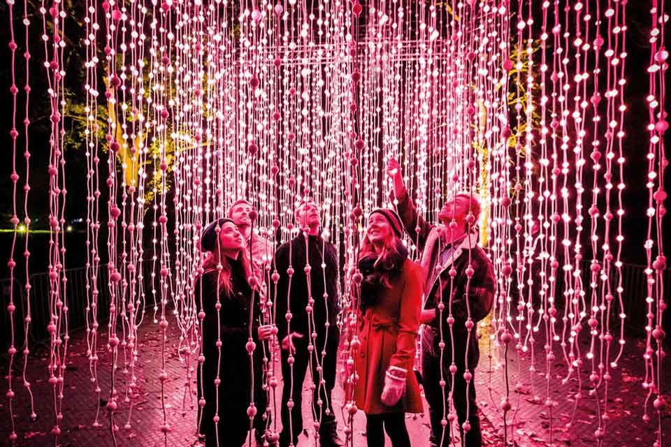 Christmas At The Botanics 2018 photo