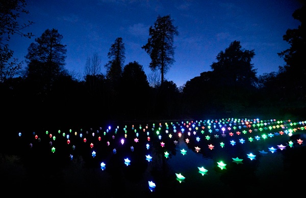 rows of Christmas lights in a botanical garden