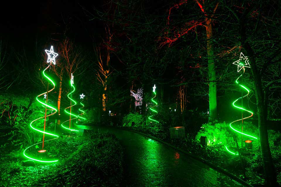 Christmas at The Botanics Spectacular Returns photo