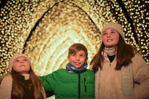 Christmas at the Botanics 2019 photo