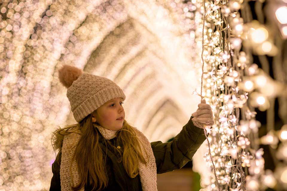 Christmas At The Botanics 2020 photo