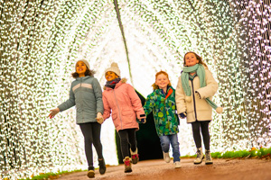 Christmas at the Botanics returns to Inverleith photo